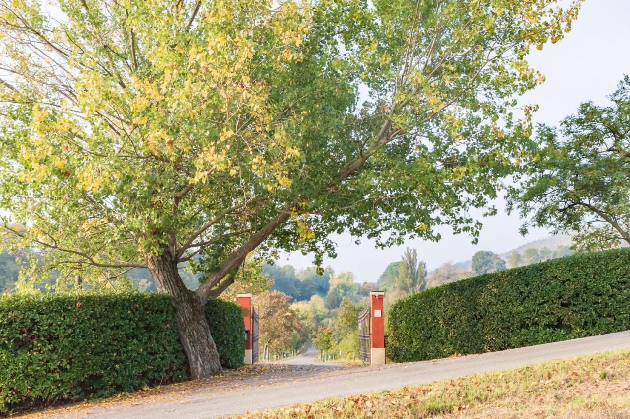 Cà Palazzo Malvasia - BolognaRooms Sasso Marconi Exterior foto